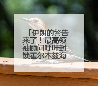 伊朗的警告来了！最高领袖顾问呼吁封锁霍尔木兹海峡，并对美海军舰艇“发动导弹袭击”