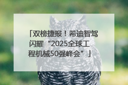双榜捷报！希迪智驾闪耀“2025全球工程机械50强峰会”