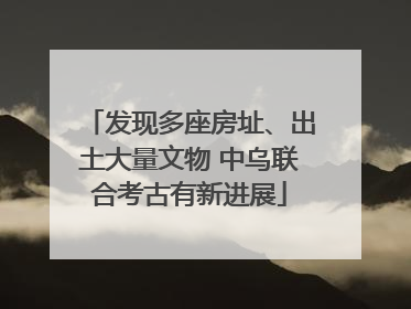 发现多座房址、出土大量文物 中乌联合考古有新进展