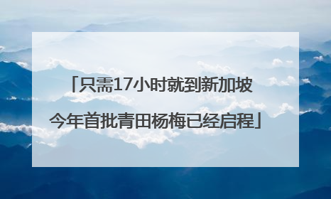 只需17小时就到新加坡 今年首批青田杨梅已经启程