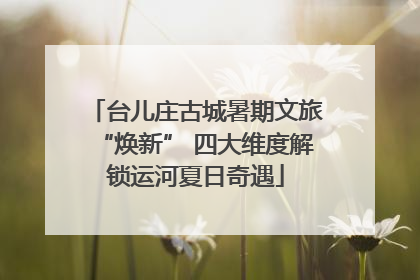 台儿庄古城暑期文旅“焕新” 四大维度解锁运河夏日奇遇