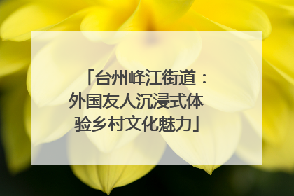 台州峰江街道：外国友人沉浸式体验乡村文化魅力