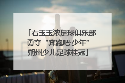 右玉玉浓足球俱乐部勇夺“奔跑吧·少年”朔州少儿足球桂冠