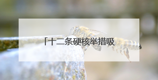 十二条硬核举措吸引“全球合伙人” 资阳全力打造数字游民友好型城市