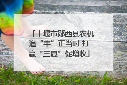 十堰市郧西县农机追“丰”正当时 打赢“三夏”促增收