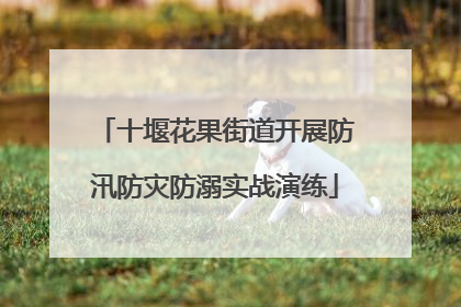 十堰花果街道开展防汛防灾防溺实战演练