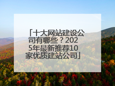 十大网站建设公司有哪些？2025年最新推荐10家优质建站公司