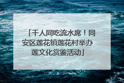 千人同吃流水席！同安区莲花镇莲花村举办莲文化赏鉴活动