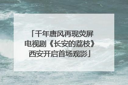 千年唐风再现荧屏 电视剧《长安的荔枝》西安开启首场观影