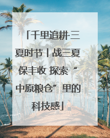 千里追耕·三夏时节丨战三夏保丰收 探索“中原粮仓”里的科技感