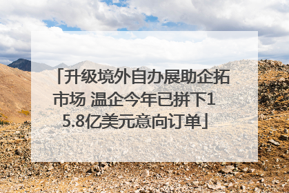 升级境外自办展助企拓市场 温企今年已拼下15.8亿美元意向订单