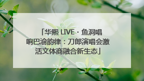 华熙 LIVE・鱼洞唱响巴渝韵律：刀郎演唱会激活文体商融合新生态