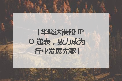 华曦达港股 IPO 递表，致力成为行业发展先驱