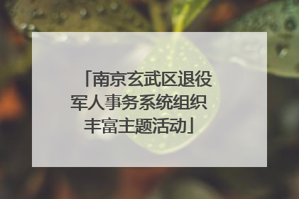 南京玄武区退役军人事务系统组织丰富主题活动
