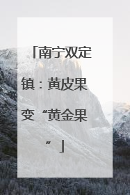 南宁双定镇：黄皮果变“黄金果”