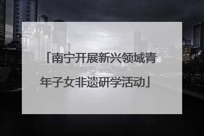 南宁开展新兴领域青年子女非遗研学活动