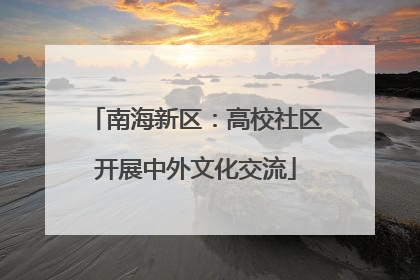 南海新区：高校社区开展中外文化交流