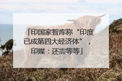 印国家智库称“印度已成第四大经济体”，印媒：还需等等