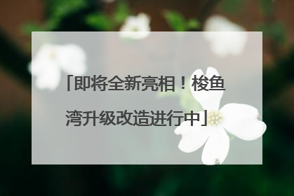 即将全新亮相！梭鱼湾升级改造进行中