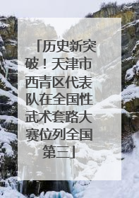 历史新突破！天津市西青区代表队在全国性武术套路大赛位列全国第三