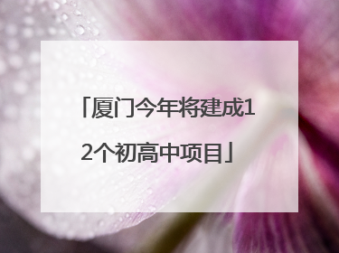 厦门今年将建成12个初高中项目