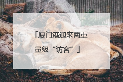 厦门港迎来两重量级“访客”