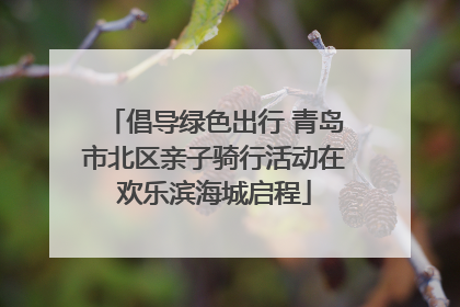 倡导绿色出行 青岛市北区亲子骑行活动在欢乐滨海城启程
