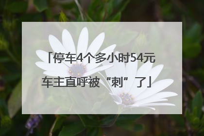 停车4个多小时54元 车主直呼被“刺”了