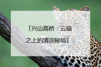 兴山高桥：云端之上的清凉秘境