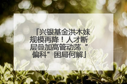 兴银基金洪木妹规模再降！人才断层叠加高管动荡“偏科”困局何解