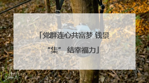 党群连心共富梦 钱景 “集” 结幸福力