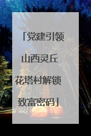 党建引领 山西灵丘花塔村解锁致富密码