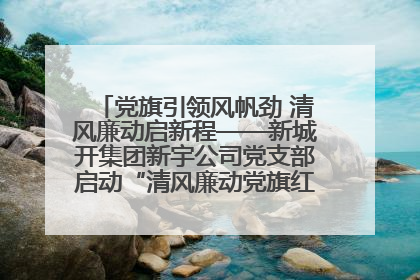 党旗引领风帆劲 清风廉动启新程——新城开集团新宇公司党支部启动“清风廉动党旗红”系列活动