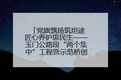 党旗飘扬筑坦途 匠心养护惠民生——玉门公路段“两个集中”工程暨示范桥创建项目圆满收官