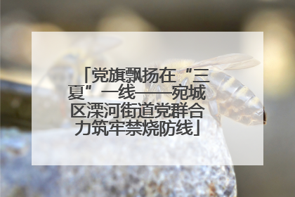 党旗飘扬在“三夏”一线——宛城区溧河街道党群合力筑牢禁烧防线