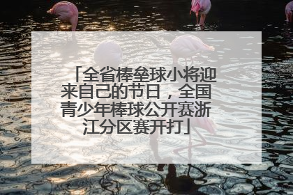 全省棒垒球小将迎来自己的节日，全国青少年棒球公开赛浙江分区赛开打