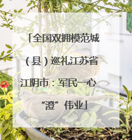 全国双拥模范城（县）巡礼江苏省江阴市：军民一心“澄”伟业