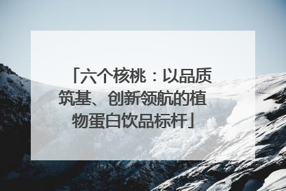六个核桃：以品质筑基、创新领航的植物蛋白饮品标杆