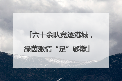 六十余队竞逐港城，绿茵激情“足”够燃