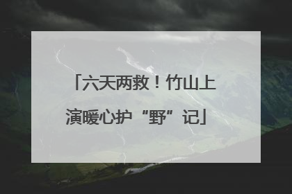 六天两救！竹山上演暖心护“野”记