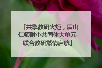 共擎教研火炬，眉山仁师附小共同体大单元联合教研燃情启航