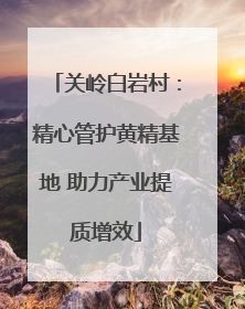 关岭白岩村：精心管护黄精基地 助力产业提质增效