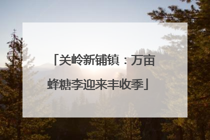 关岭新铺镇：万亩蜂糖李迎来丰收季