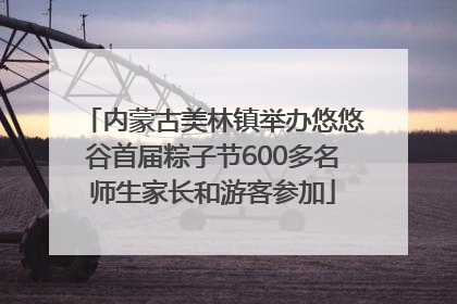 内蒙古美林镇举办悠悠谷首届粽子节600多名师生家长和游客参加