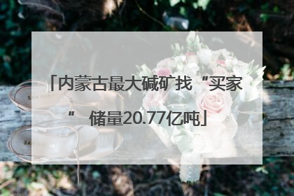 内蒙古最大碱矿找“买家” 储量20.77亿吨
