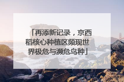 再添新记录，京西稻核心种植区频现世界极危与濒危鸟种