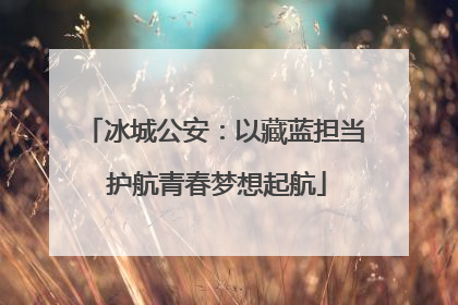 冰城公安：以藏蓝担当 护航青春梦想起航