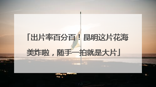 出片率百分百！昆明这片花海美炸啦，随手一拍就是大片