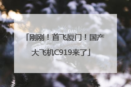 刚刚！首飞厦门！国产大飞机C919来了