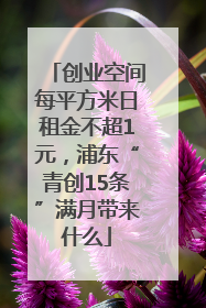 创业空间每平方米日租金不超1元，浦东“青创15条”满月带来什么